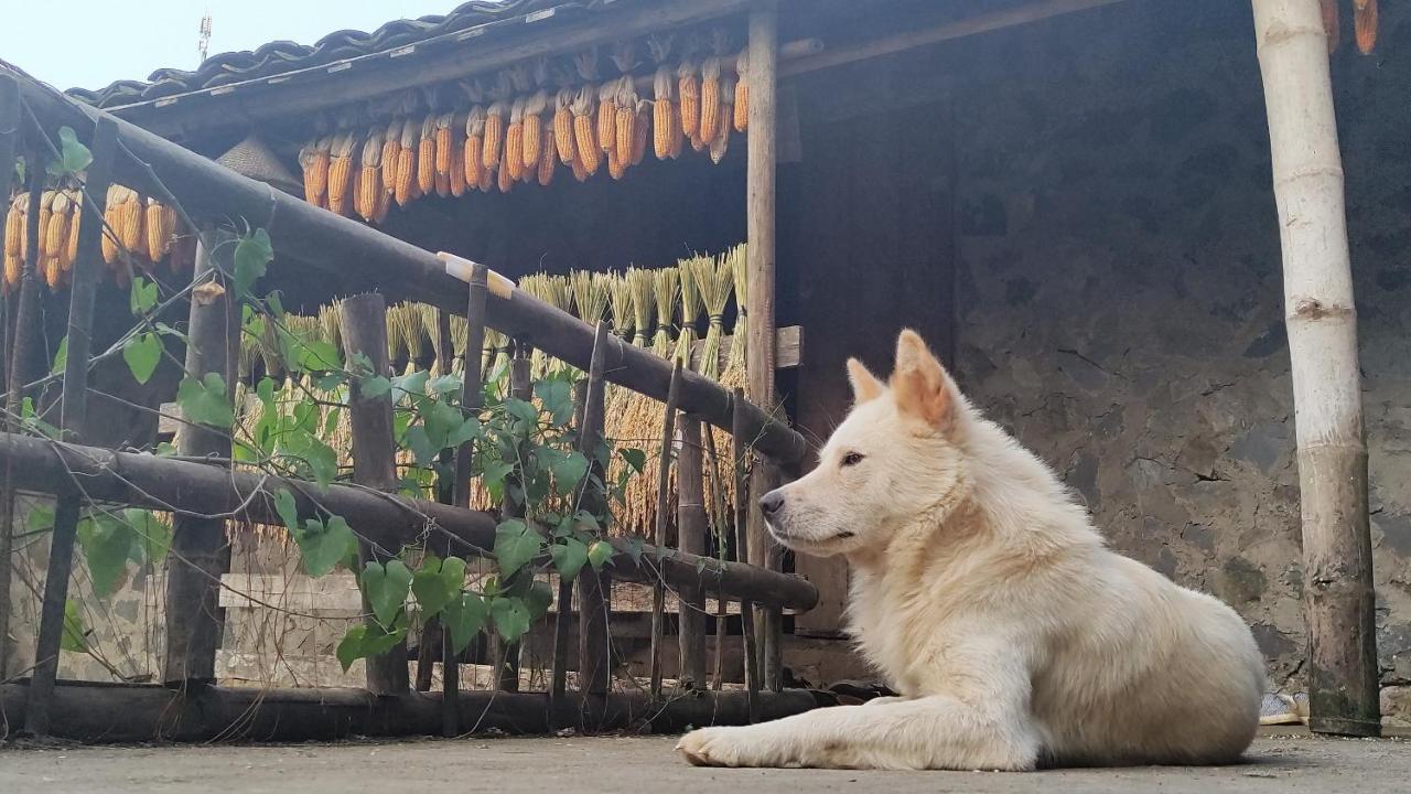 Hoàng Công Bản Giốc Homestay Cao Bang Ngoại thất bức ảnh
